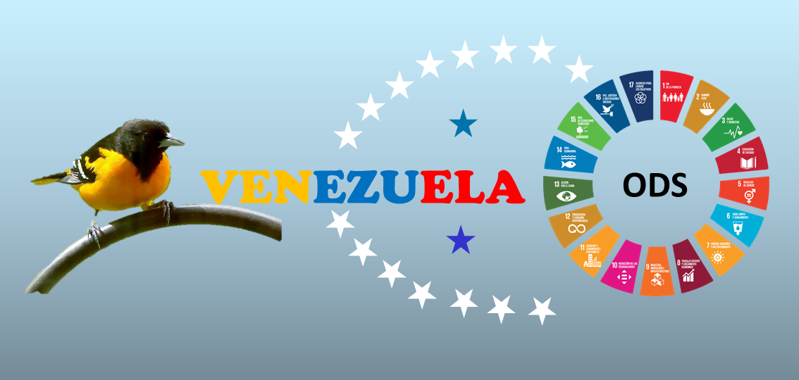 Venezuela: la sociedad civil en acción para promover y dar a conocer la situación de los Objetivos de Desarrollo Sostenible (ODS) antes y durante la COVID-19